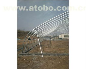 安陽市騰達農業技術推廣服務有限責任公司 農用機械熱賣促銷與專業咨詢一站式服務